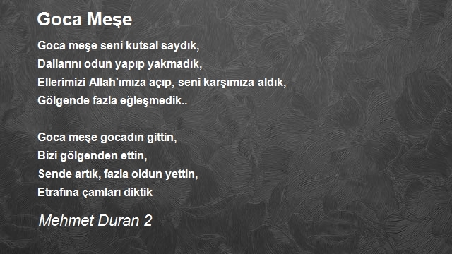 Mehmet Duran 2