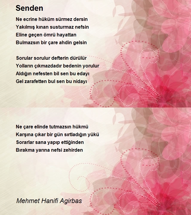 Mehmet Hanifi Agirbas