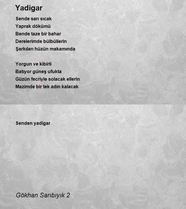 Gökhan Sarıbıyık 2