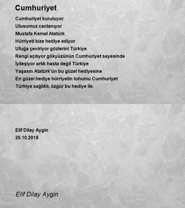 Elif Dilay Aygin