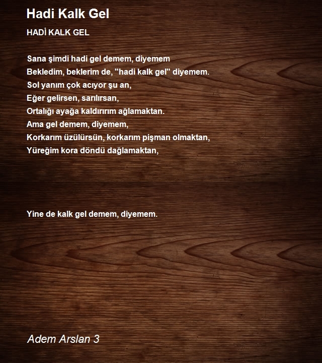 Adem Arslan 3