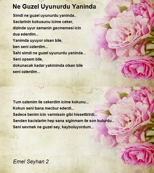 Emel Seyhan 2