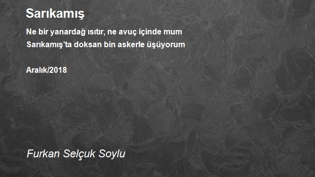 Furkan Selçuk Soylu