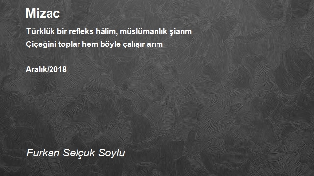 Furkan Selçuk Soylu