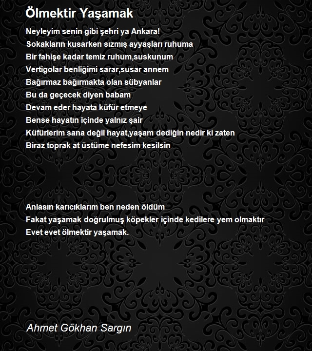 Ahmet Gökhan Sargın