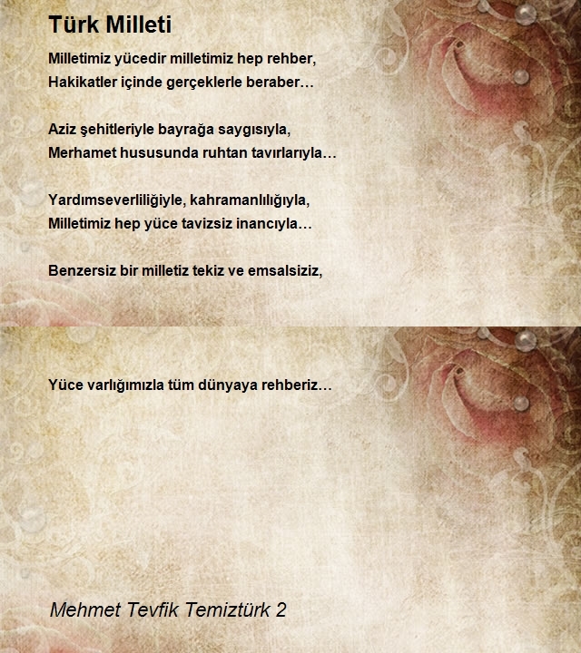 Mehmet Tevfik Temiztürk 2