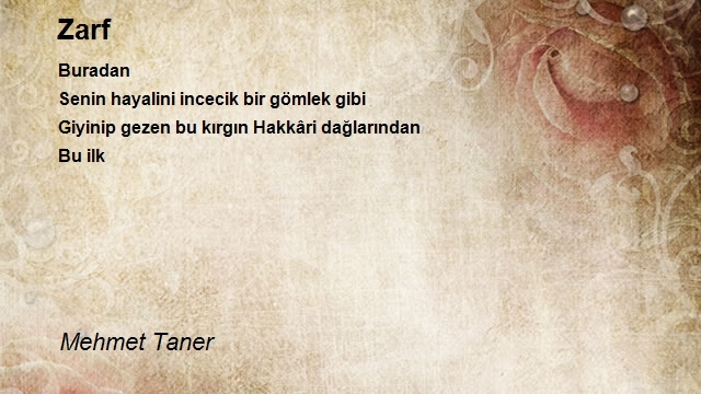 Mehmet Taner