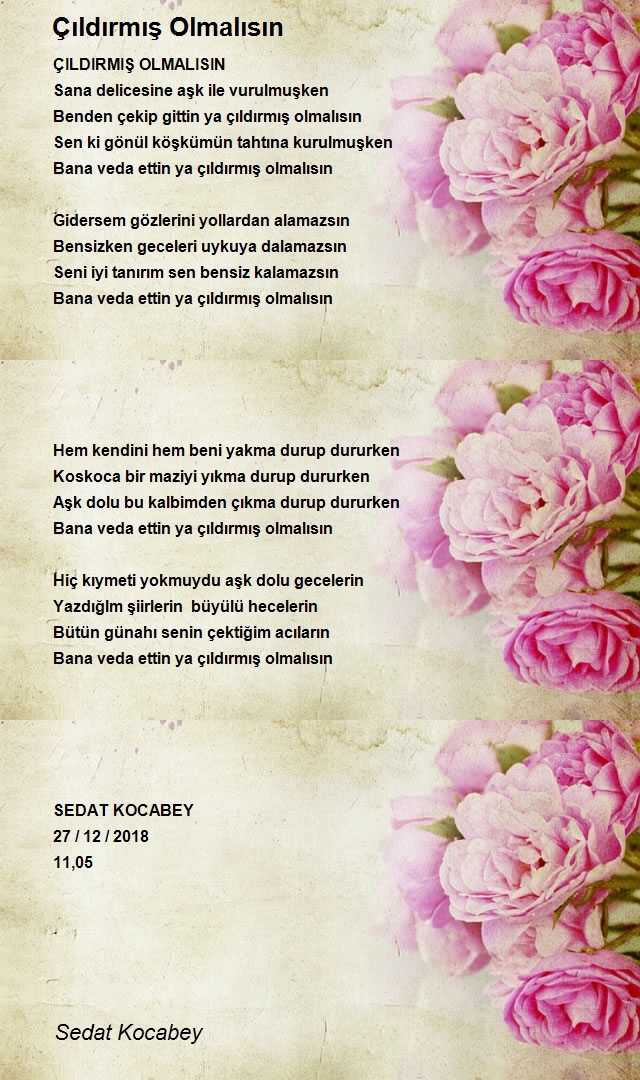 Sedat Kocabey