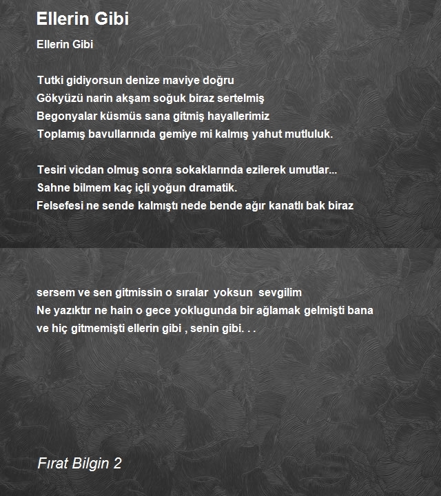 Fırat Bilgin 2