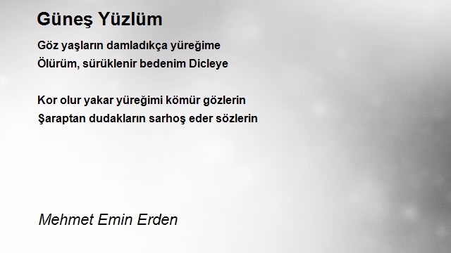 Mehmet Emin Erden