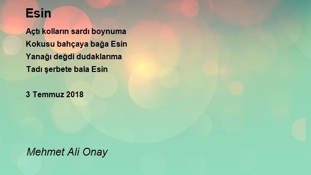 Mehmet Ali Onay