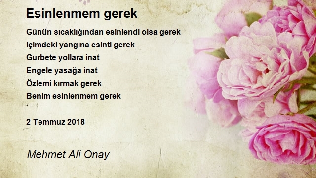 Mehmet Ali Onay