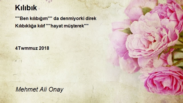 Mehmet Ali Onay