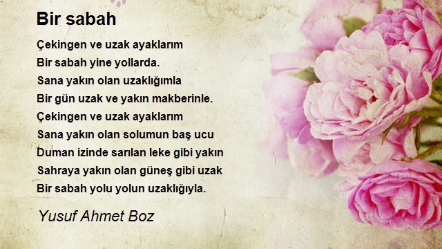 Yusuf Ahmet Boz