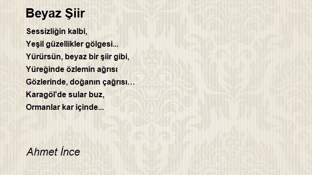 Ahmet İnce