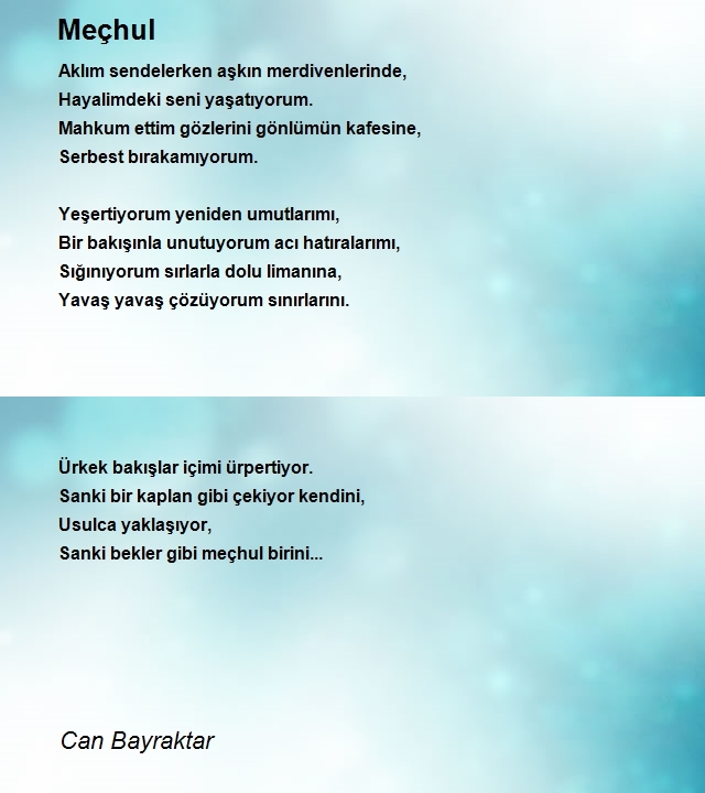 Can Bayraktar