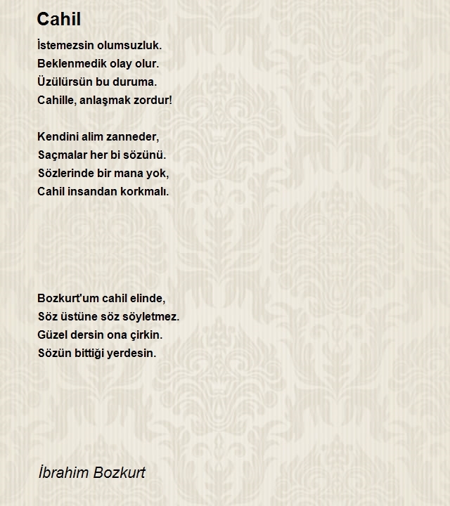 İbrahim Bozkurt