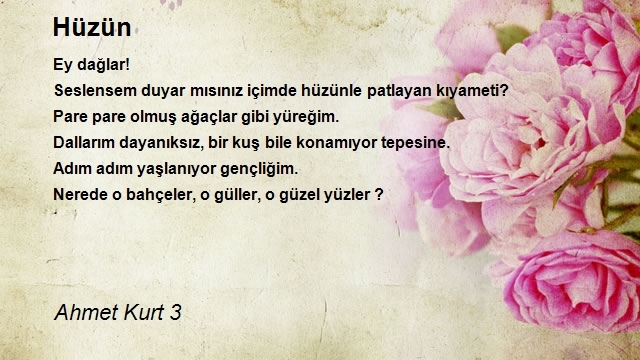 Ahmet Kurt 3