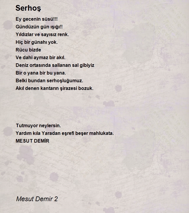 Mesut Demir 2