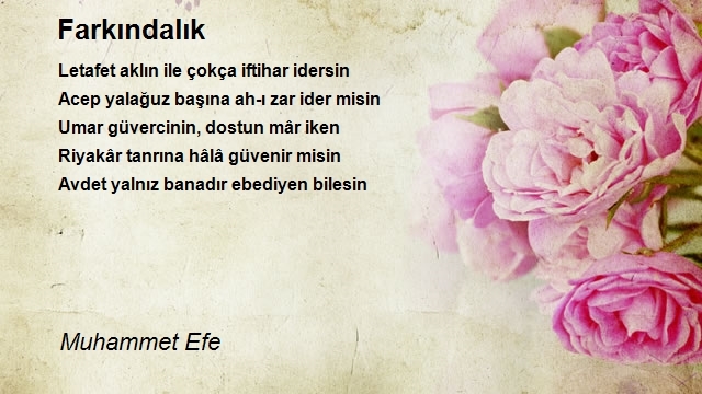 Efe Efe