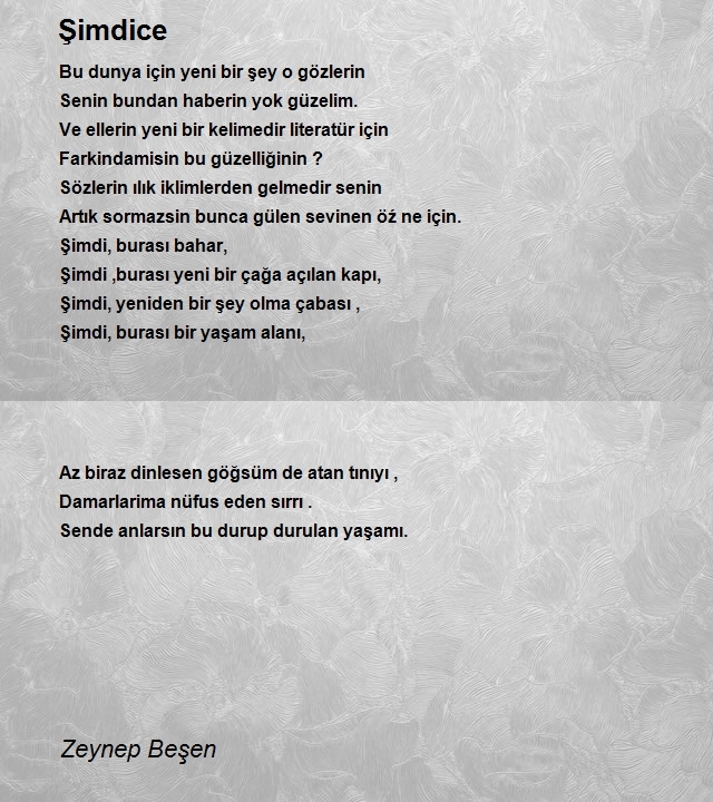 Zeynep Beşen