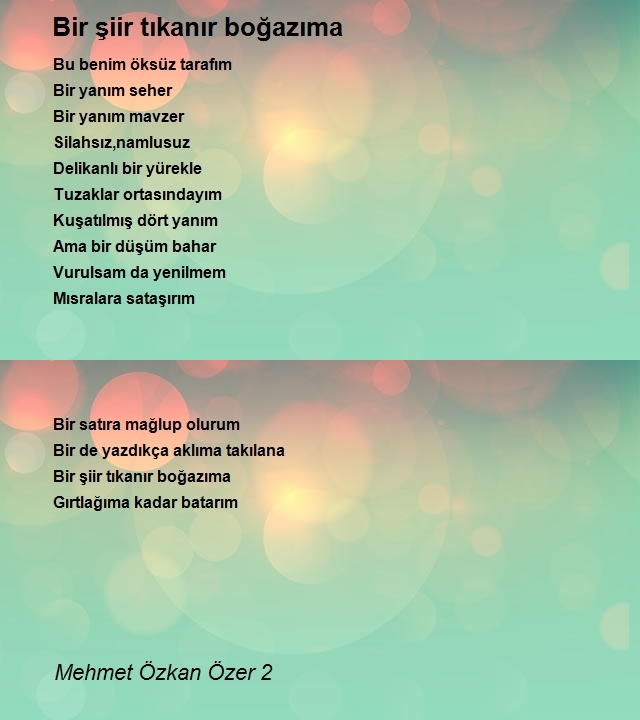 Mehmet Özkan Özer 2