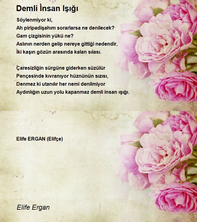 Elife Ergan