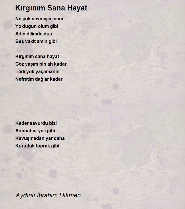 İbrahim Dikmen 2