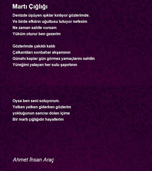 Ahmet Ihsan Arac