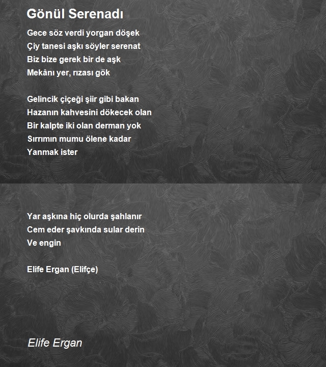 Elife Ergan