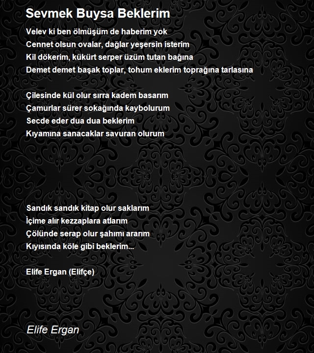 Elife Ergan