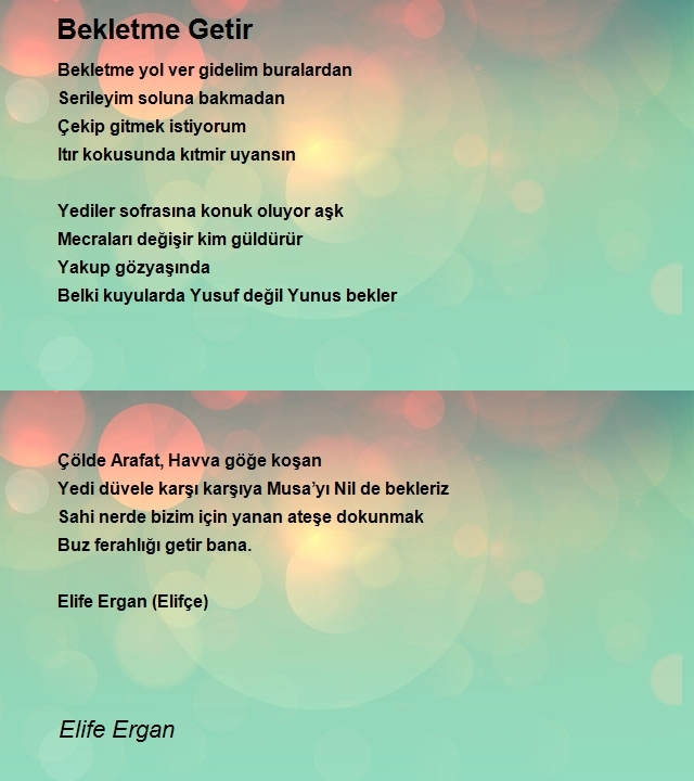 Elife Ergan