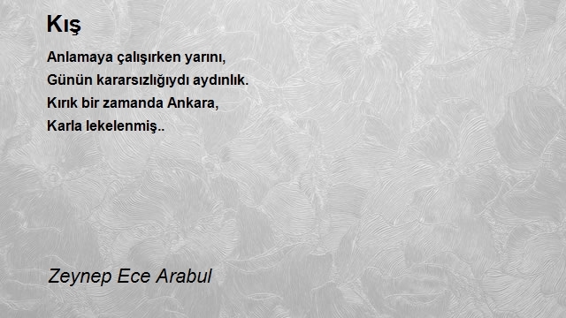 Zeynep Ece Arabul