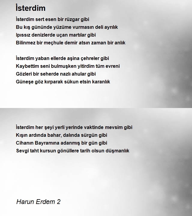 Harun Erdem 2