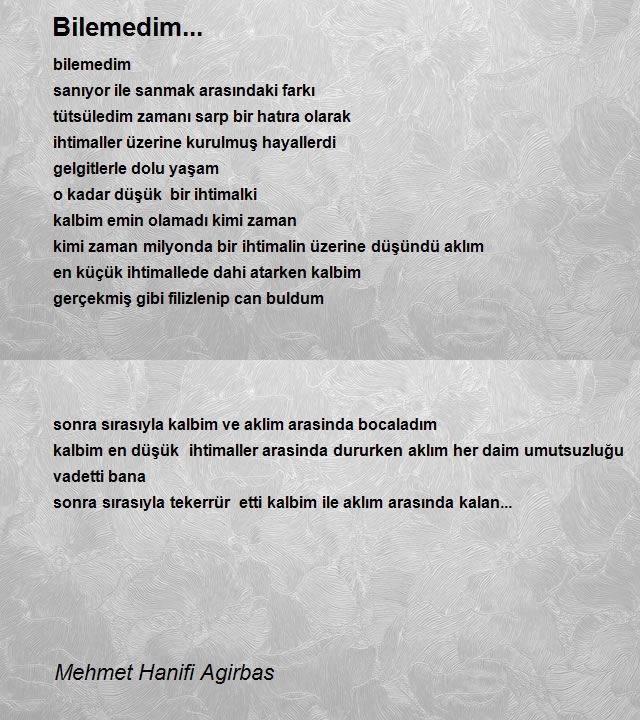 Mehmet Hanifi Agirbas