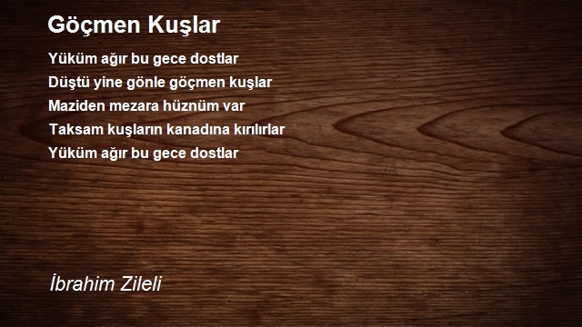 İbrahim Zileli