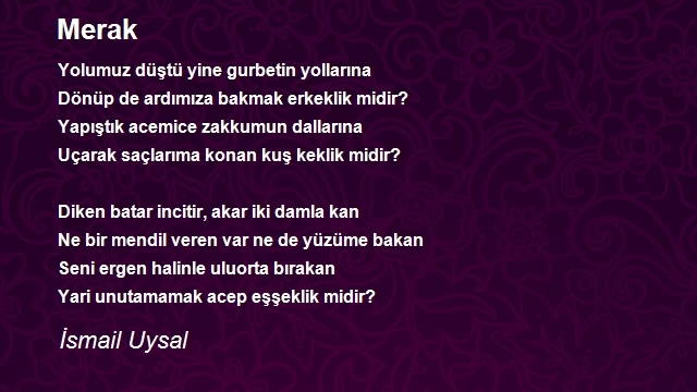 İsmail Uysal