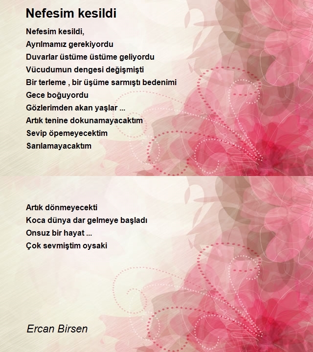 Ercan Birsen