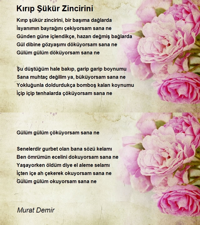 Murat Demir