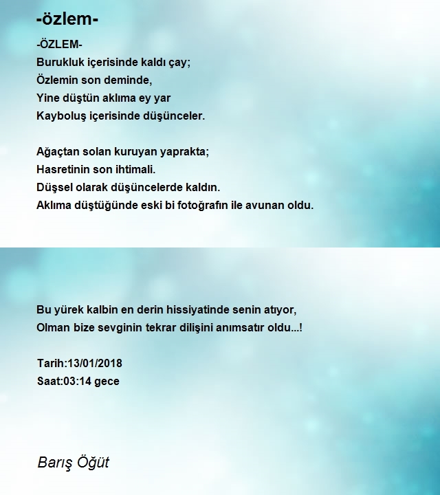 Barış Öğüt