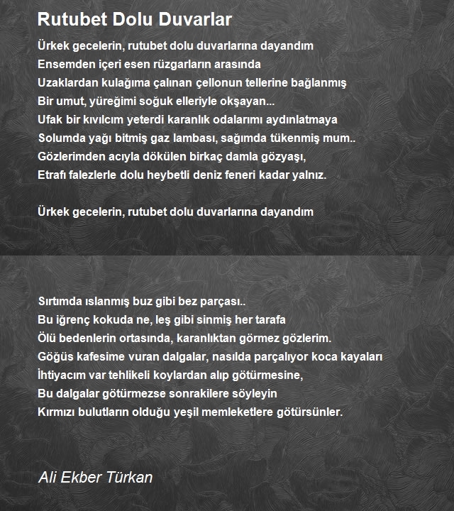 Ali Ekber Türkan