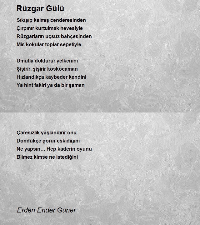 Erden Ender Güner