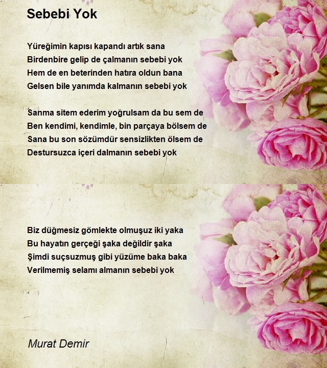 Murat Demir