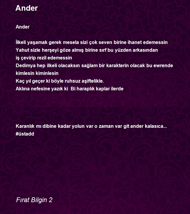 Fırat Bilgin 2