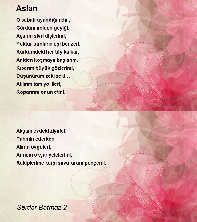 Serdar Batmaz 2