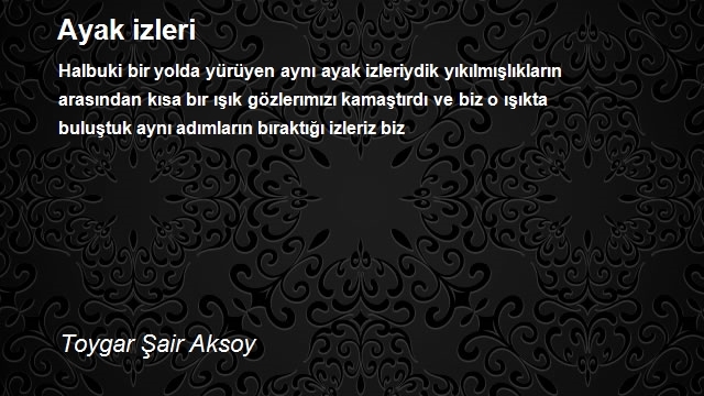 Toygar Şair Aksoy