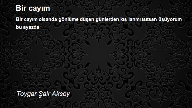 Toygar Şair Aksoy