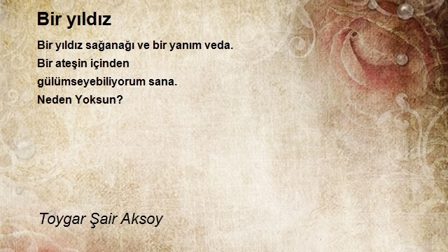 Toygar Şair Aksoy