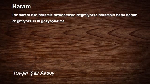 Toygar Şair Aksoy