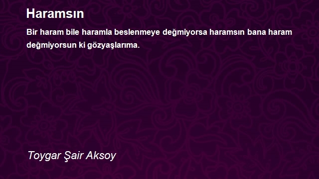 Toygar Şair Aksoy